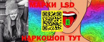 шишки Дубна