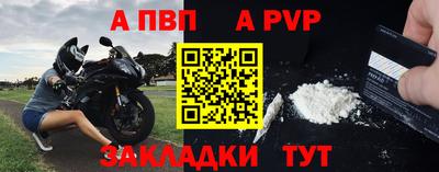 шишки Дубна