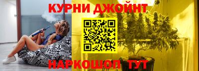 шишки Дубна
