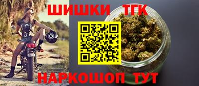 шишки Дубна