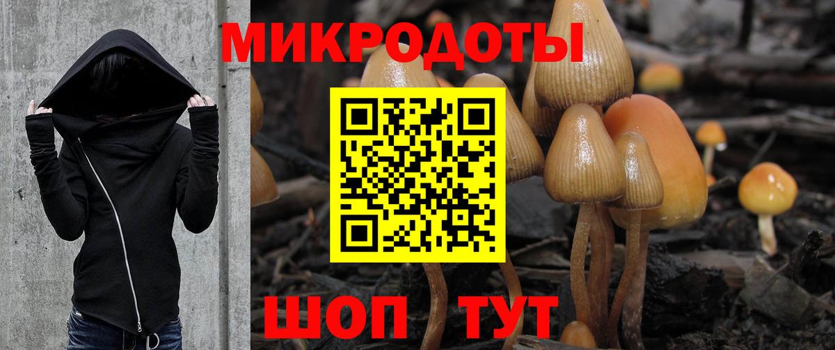 Галлюциногенные грибы Cubensis Черняховск